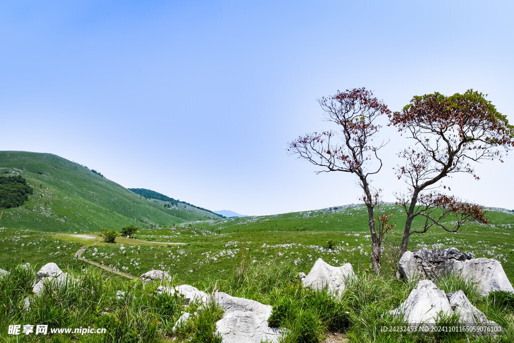 高山