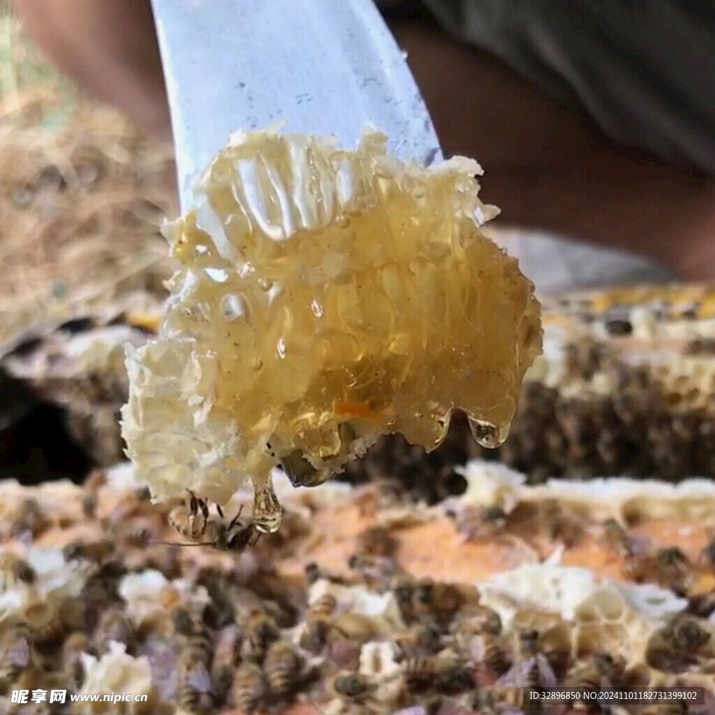 蜂蜜
