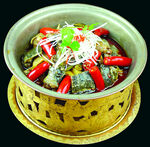 荆沙甲鱼