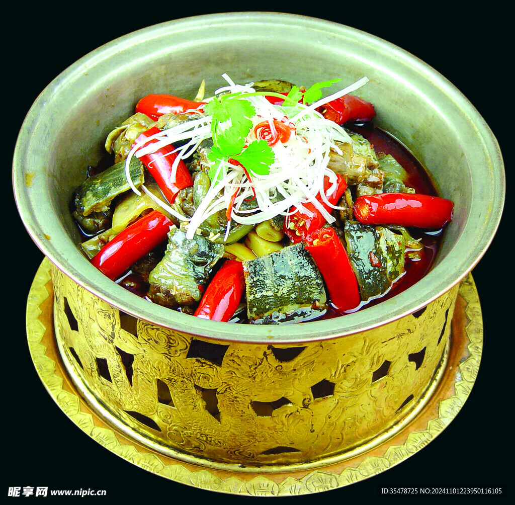 荆沙甲鱼