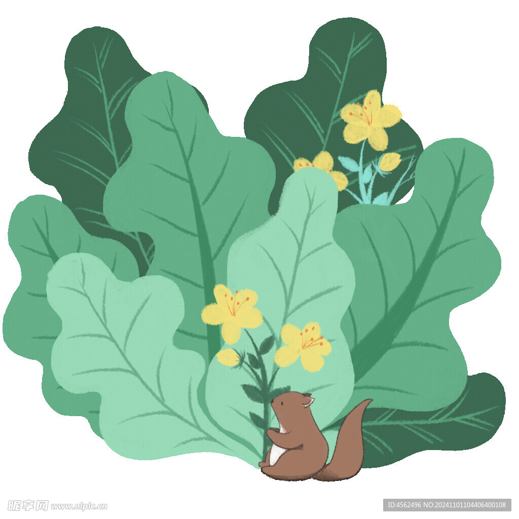 植物插画