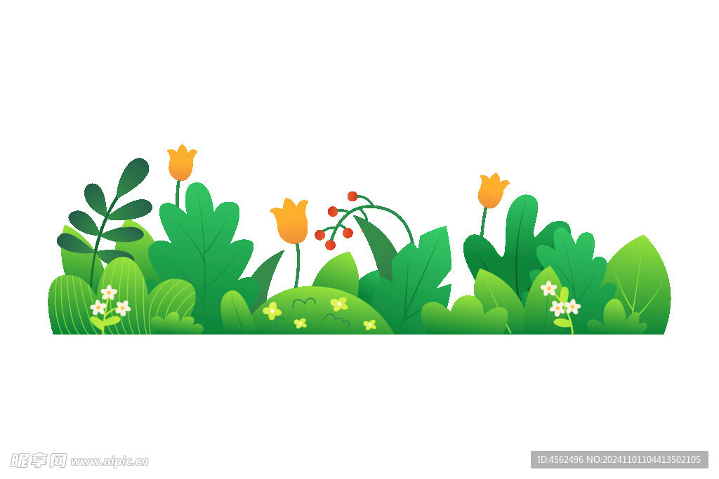 植物插画