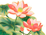荷花素材