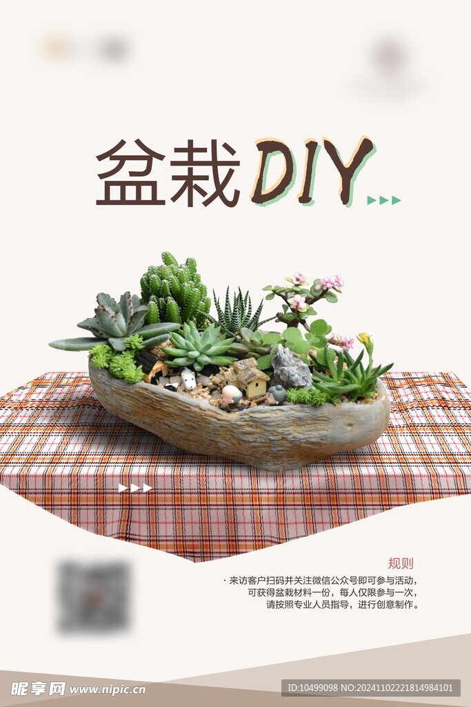 盆栽DIY活动