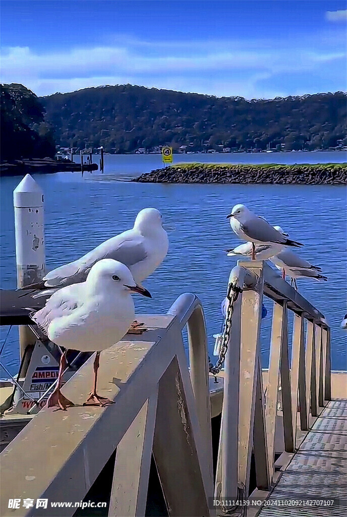 海滨风景随拍