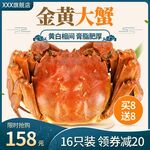淘宝大闸蟹主图