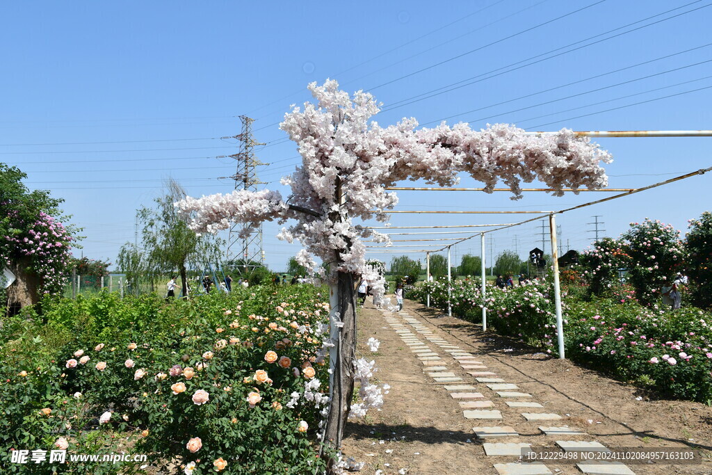 花海