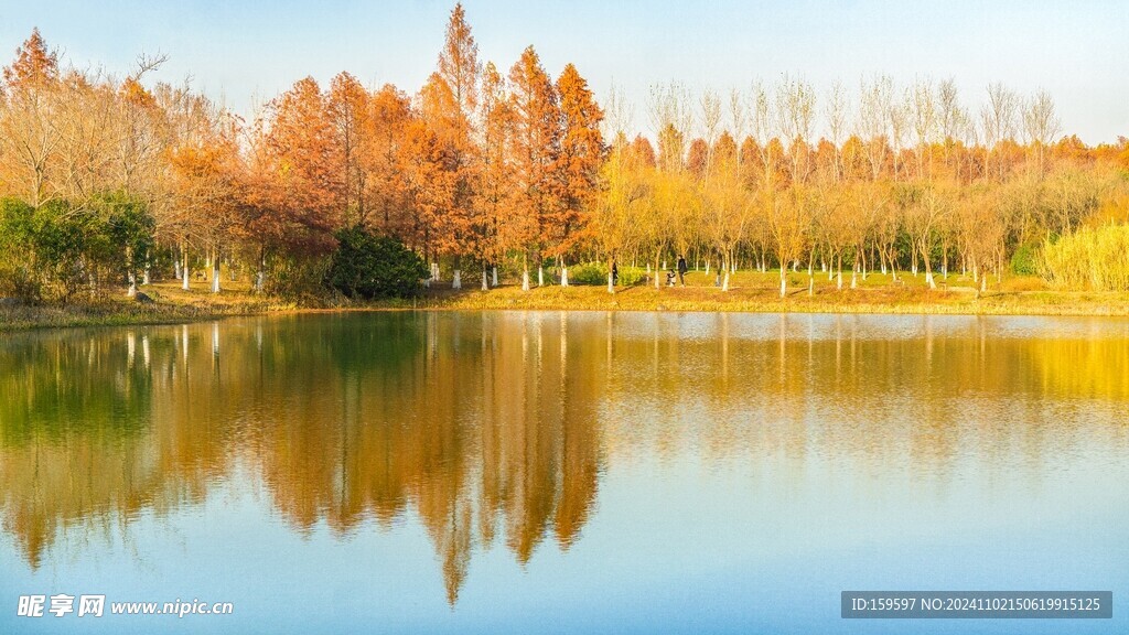 池衫倒影天福国家湿地公园秋景