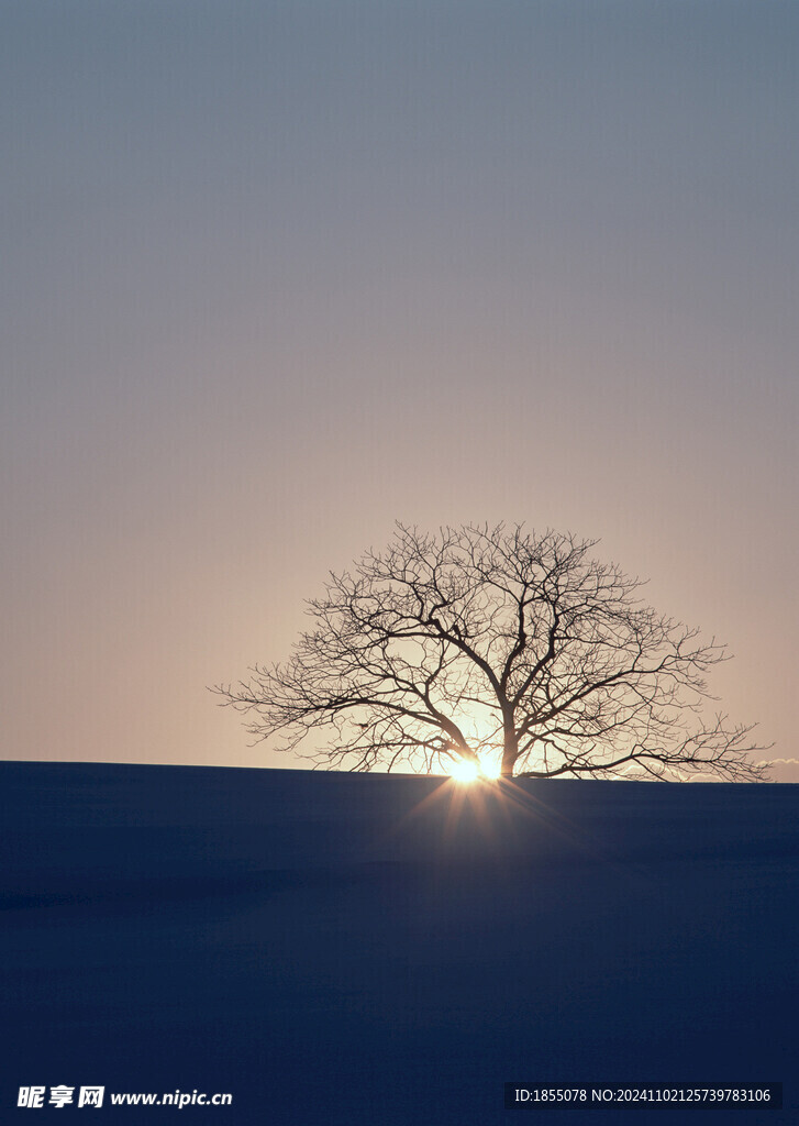 夕阳