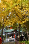 公园风景  