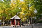 公园风景 