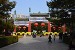 公园风景 