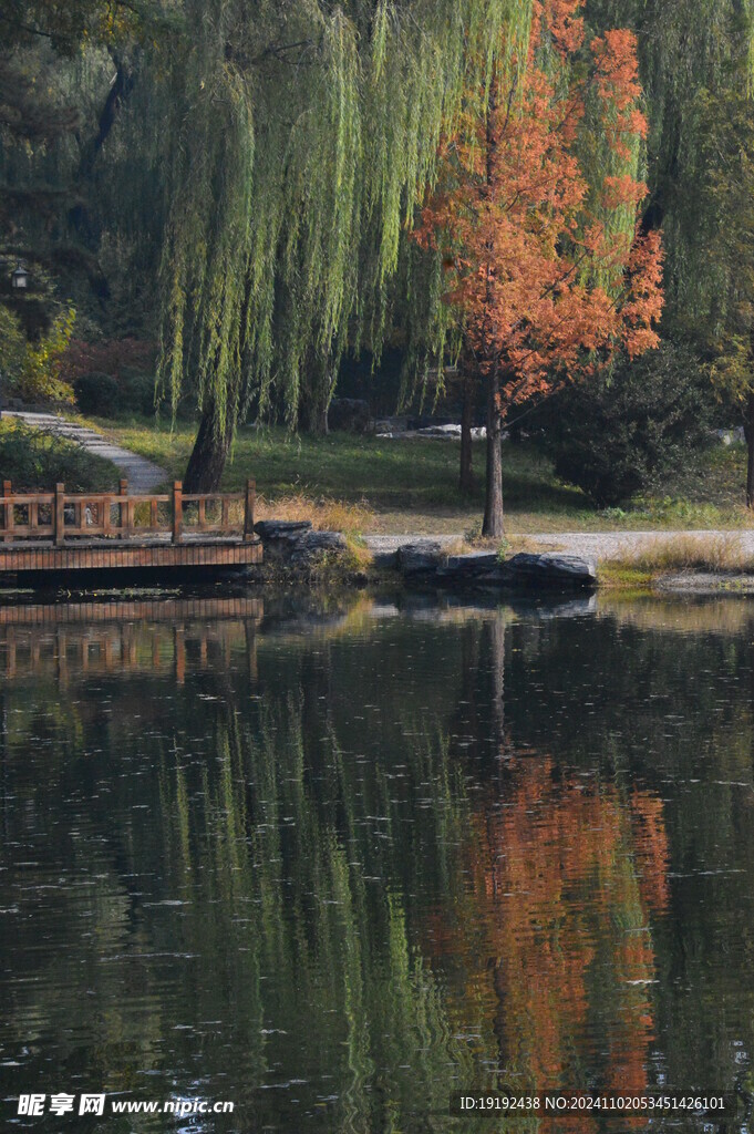 公园风景  