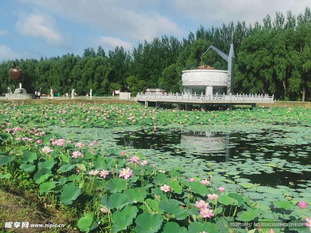 镜泊湖荷花池