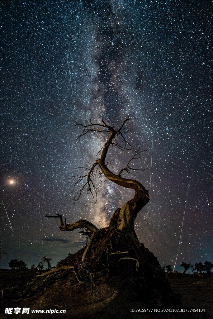          星空夜空  