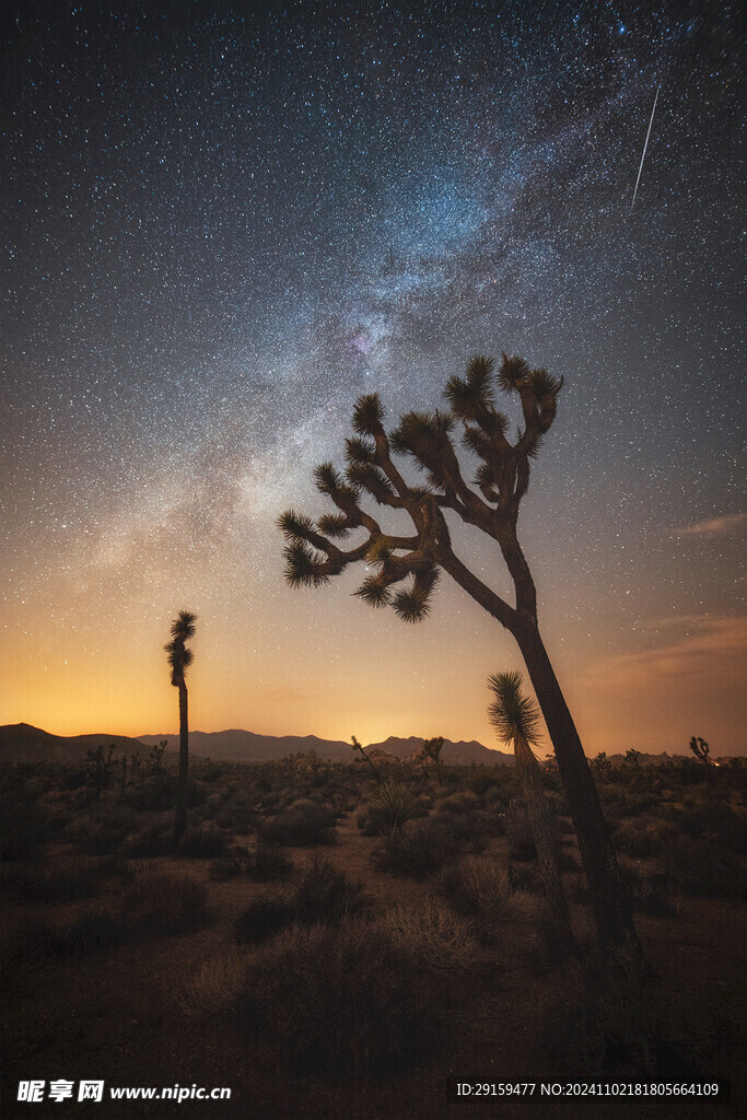          星空夜空  