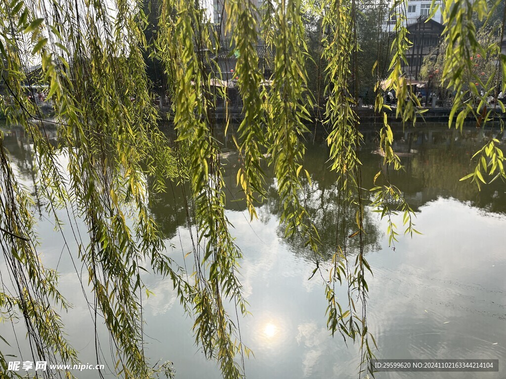 富顺西湖  