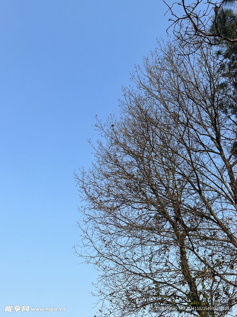 天空  