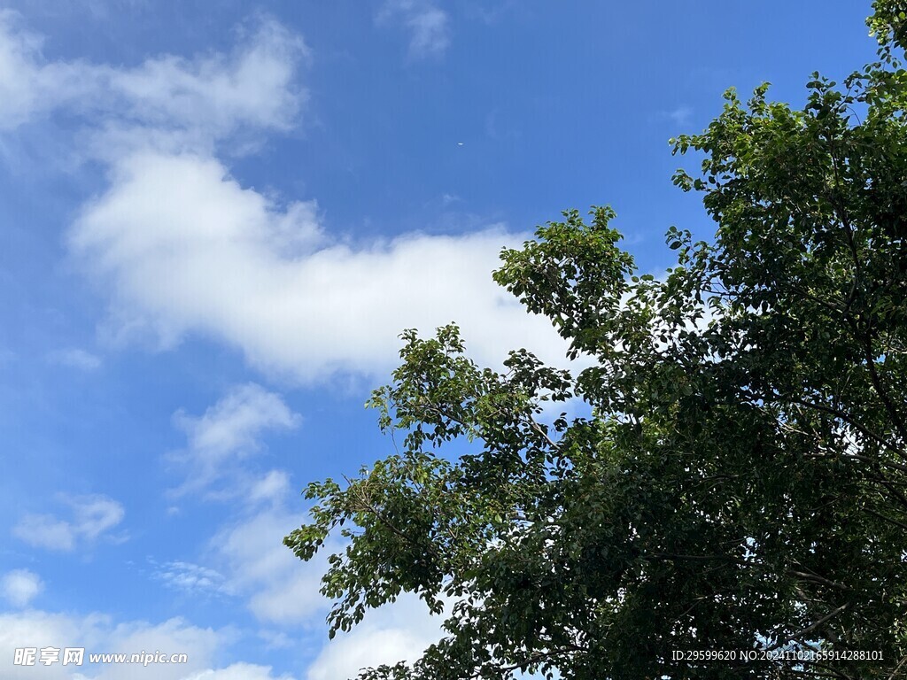 天空 