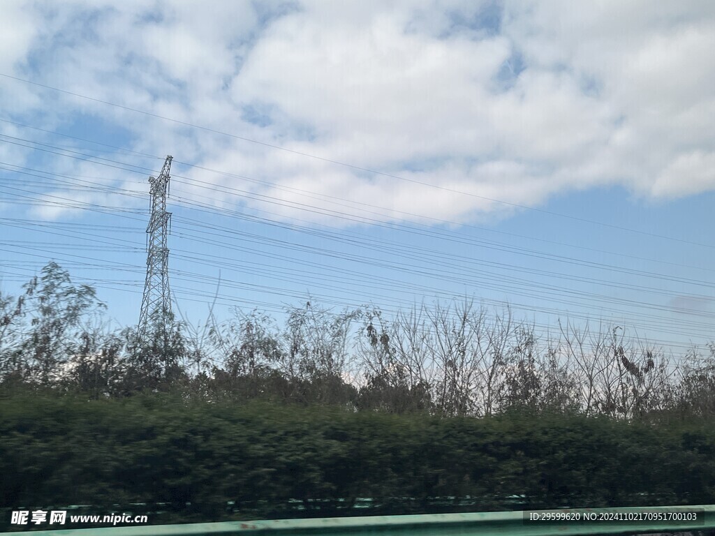 树枝天空  