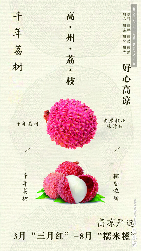 高州荔枝海报