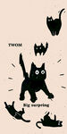 小黑猫