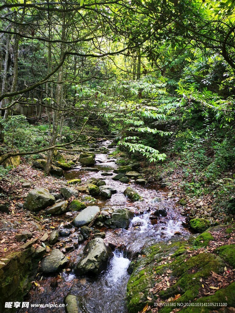 山涧溪流