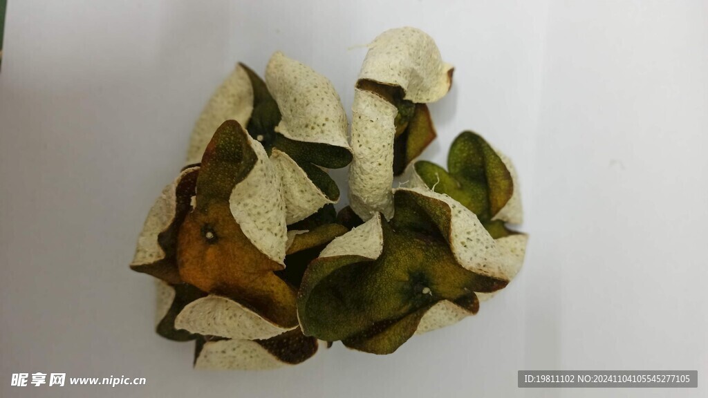 陈皮