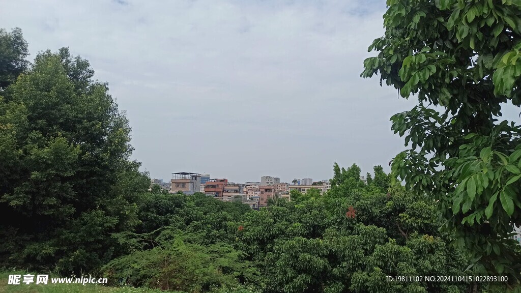 公园风景 
