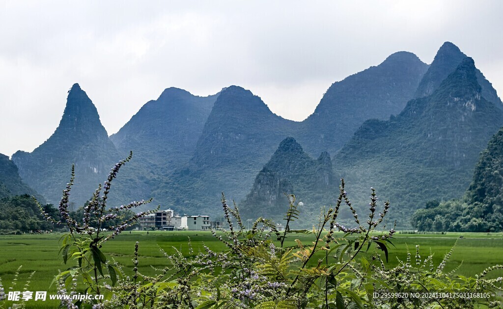 桂林山水  