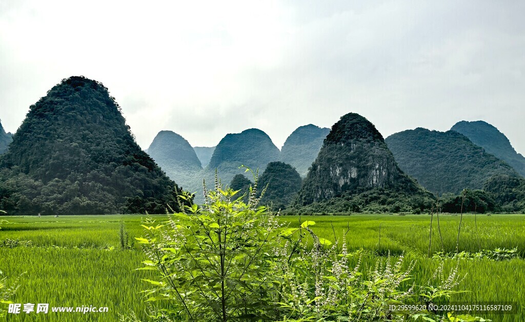 桂林山水  