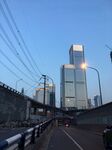 高楼