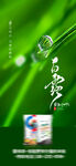 白露
