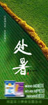 处暑