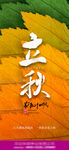 立秋