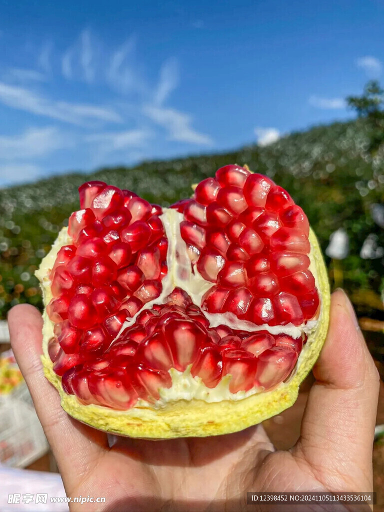 石榴