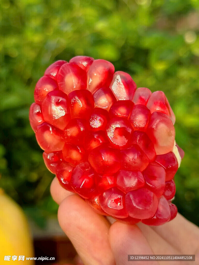 石榴