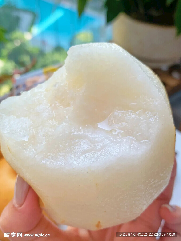 梨子