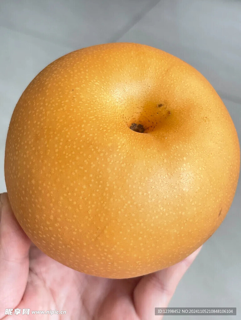 梨子