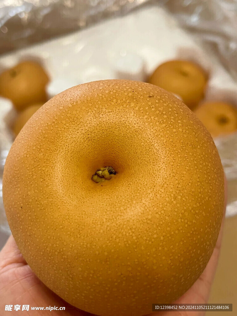 秋月梨