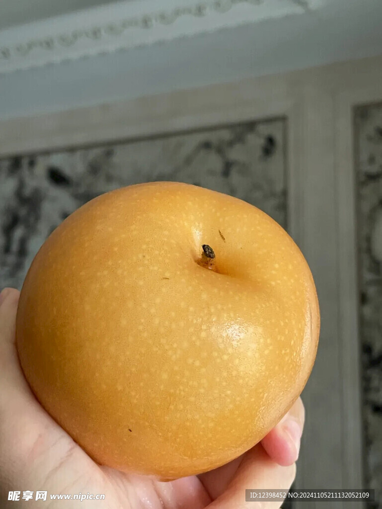 秋月梨