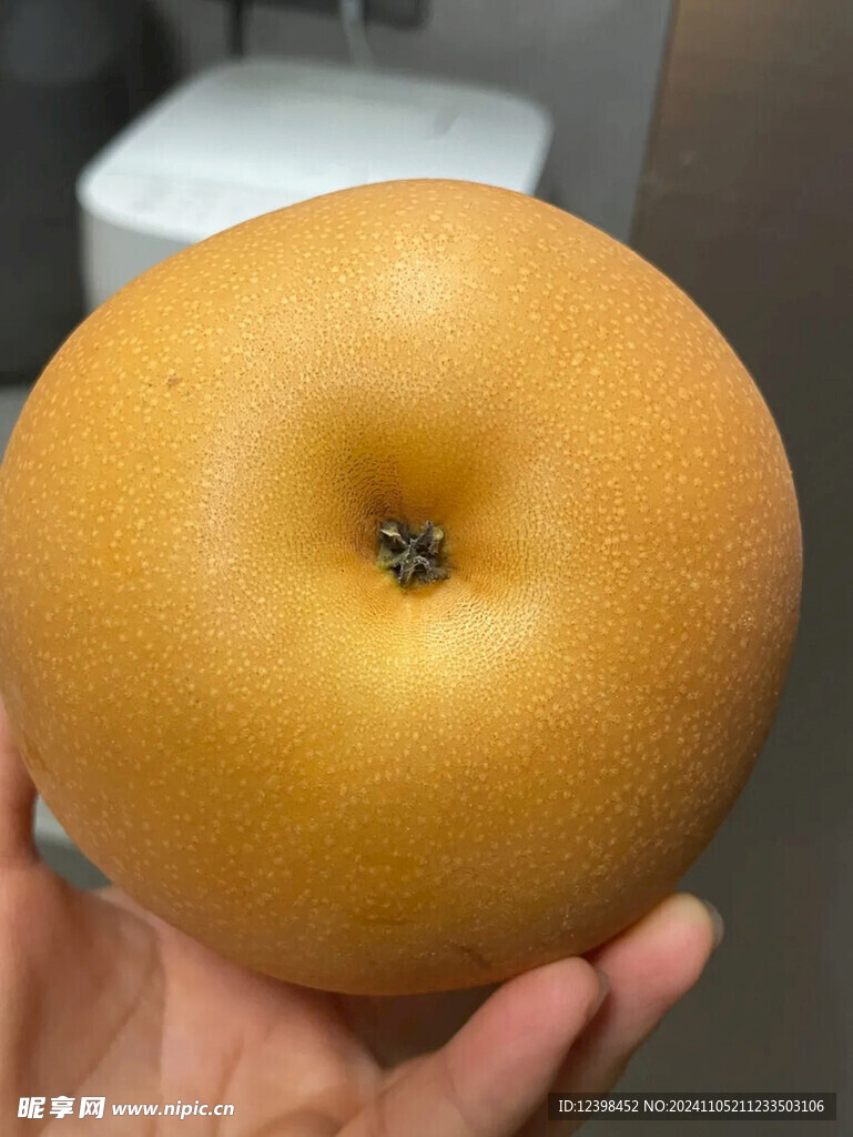 梨子