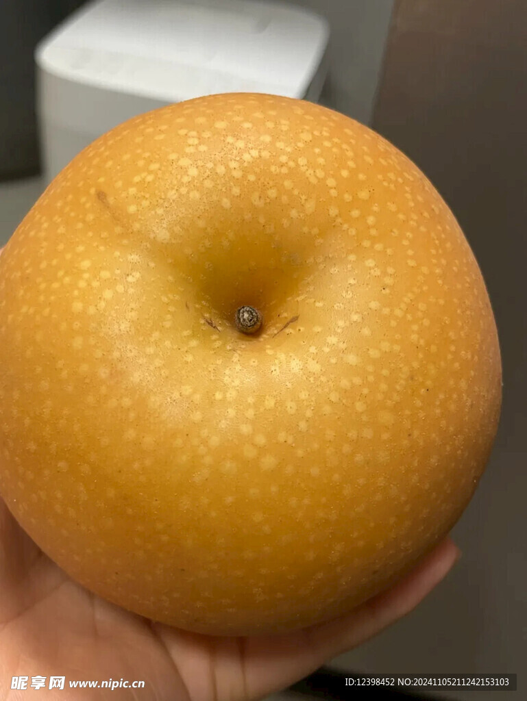 秋月梨