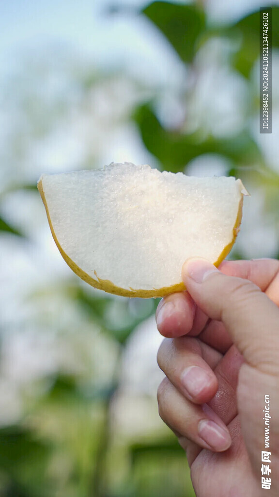梨子