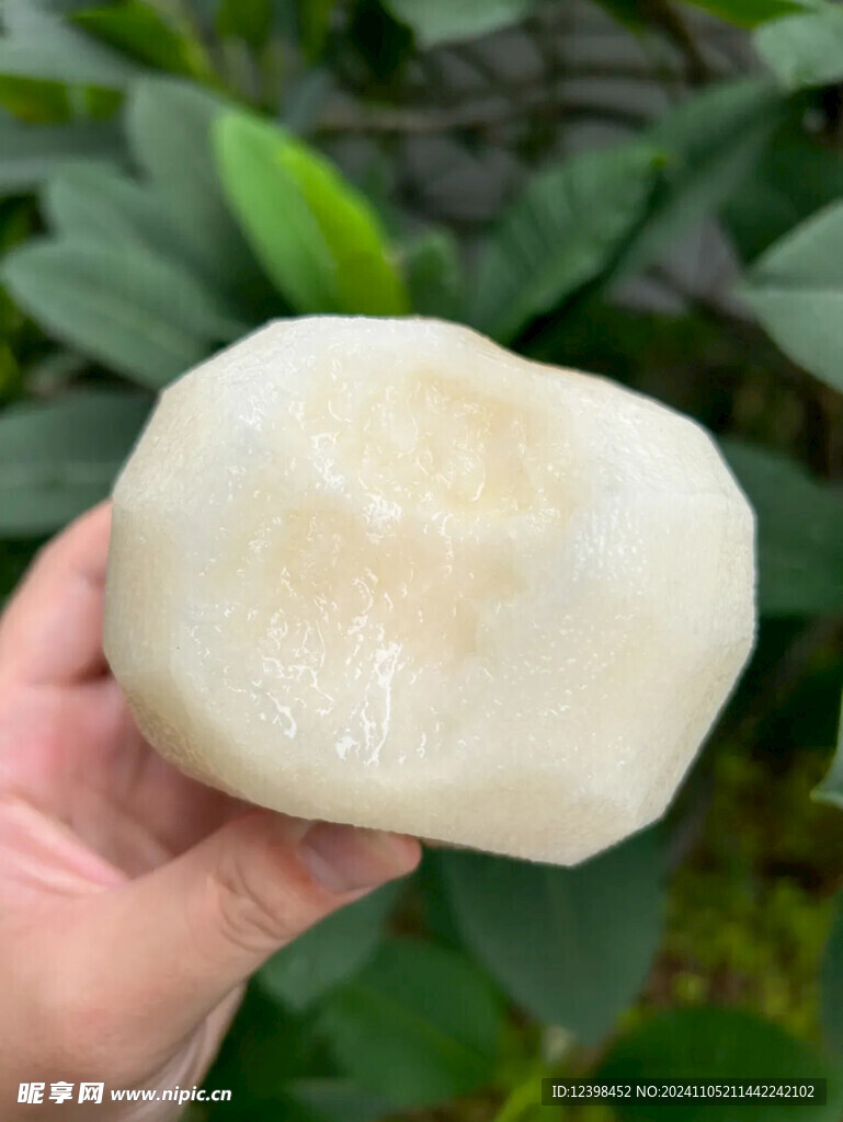 梨子