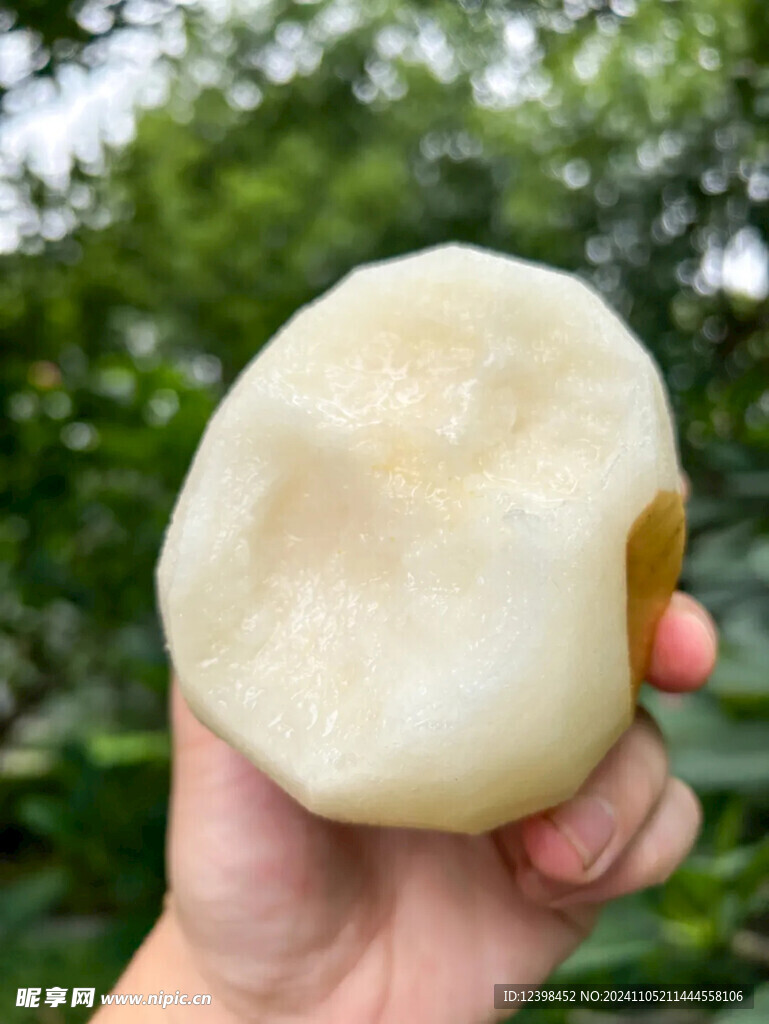 梨子
