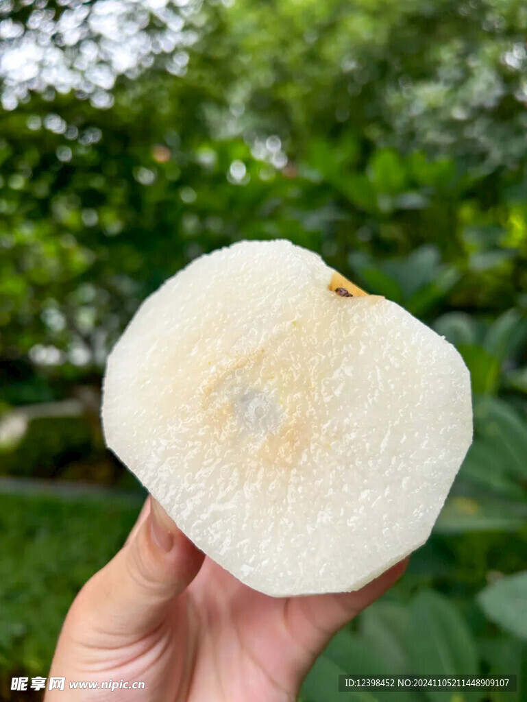 梨子