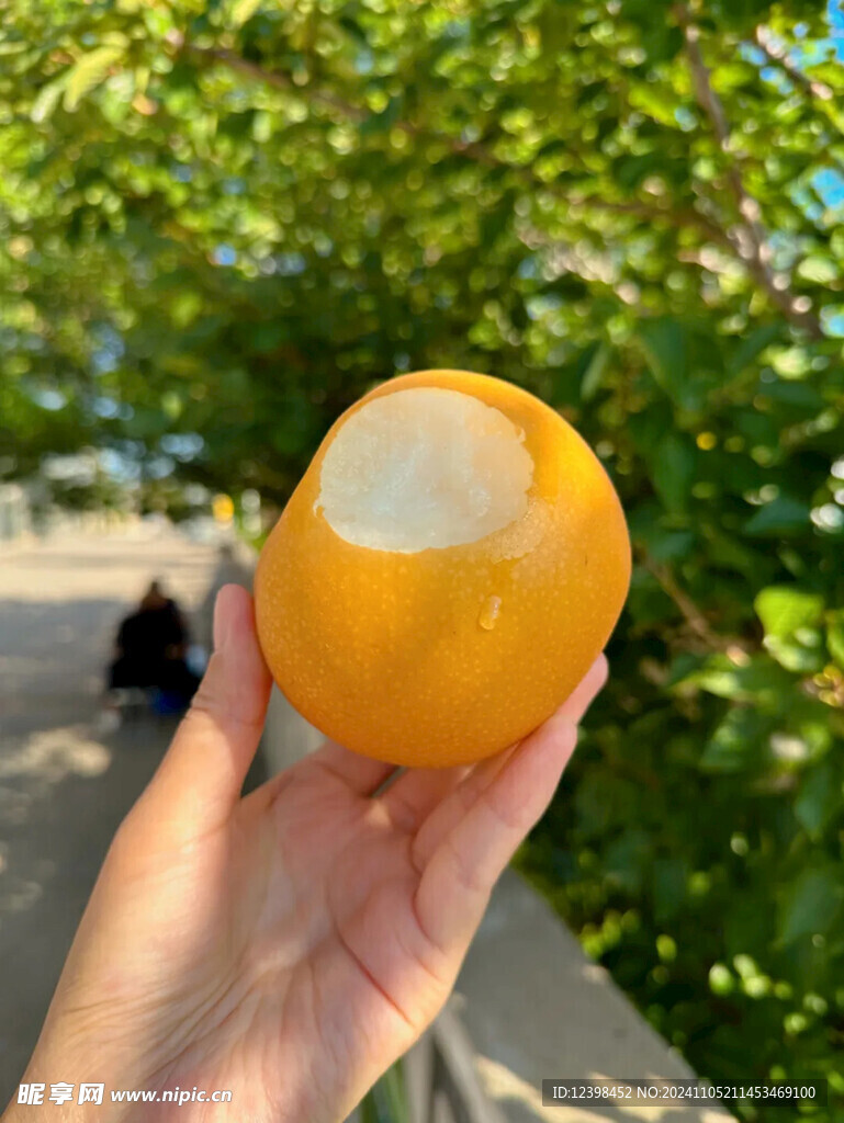 梨子