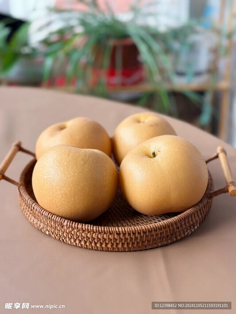 秋月梨