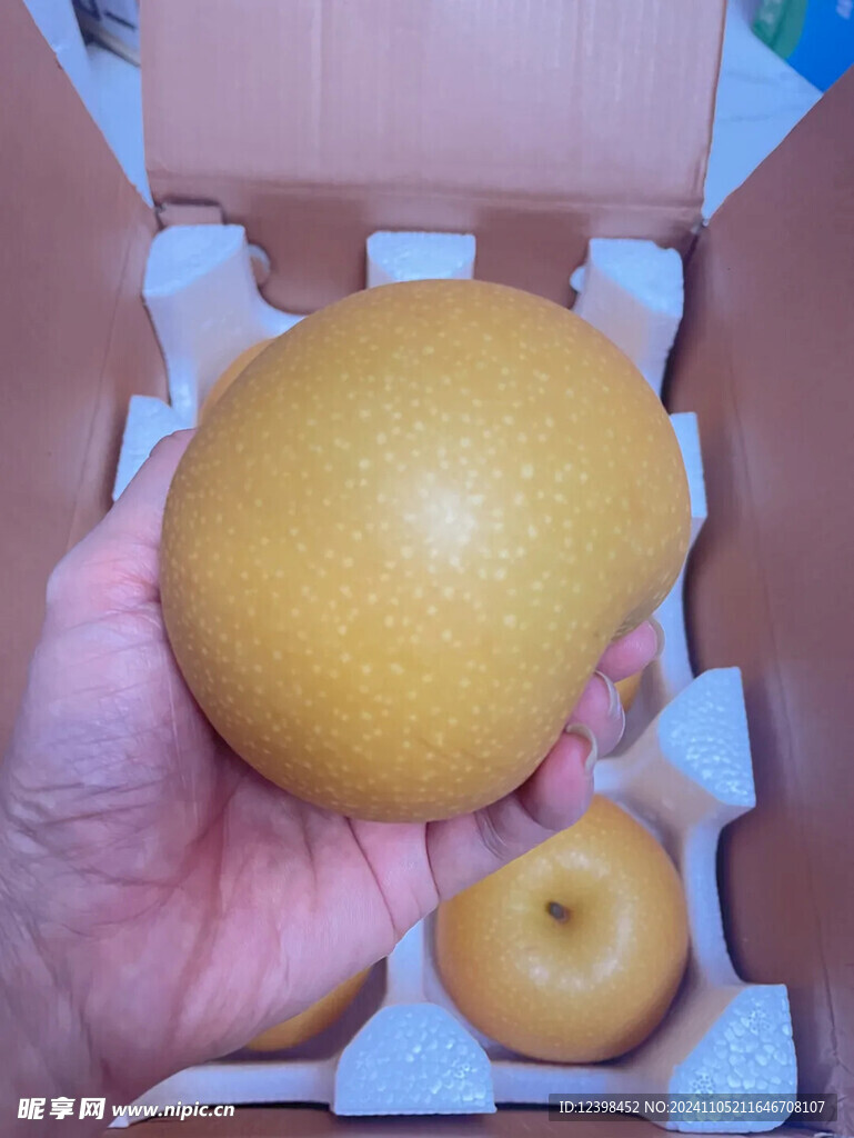 梨子